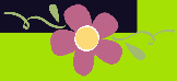 wp5981382f.png