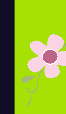 wp9bd7569d.png