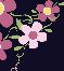 wpa1533b10.png