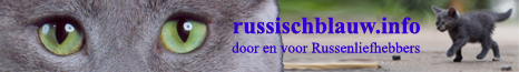 wpb12a68d1.png